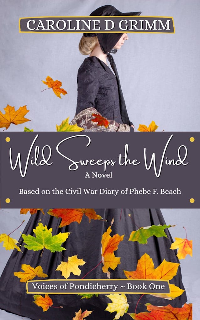 Wild Sweeps the Wind: The Civil War Diary of Phebe F. Beach (Voices of Pondicherry Book 1)