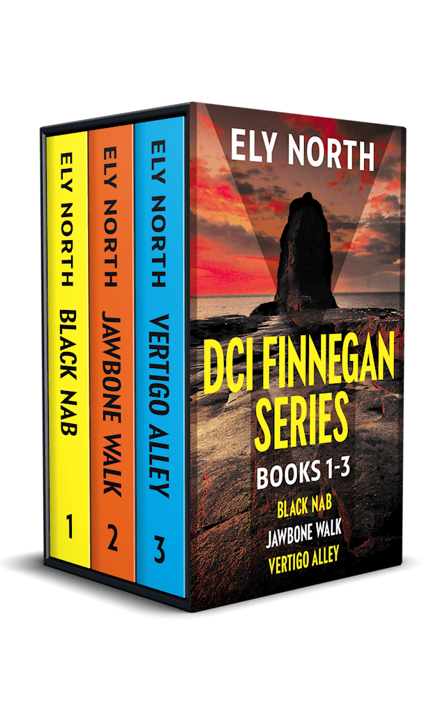 DCI Finnegan Series #1