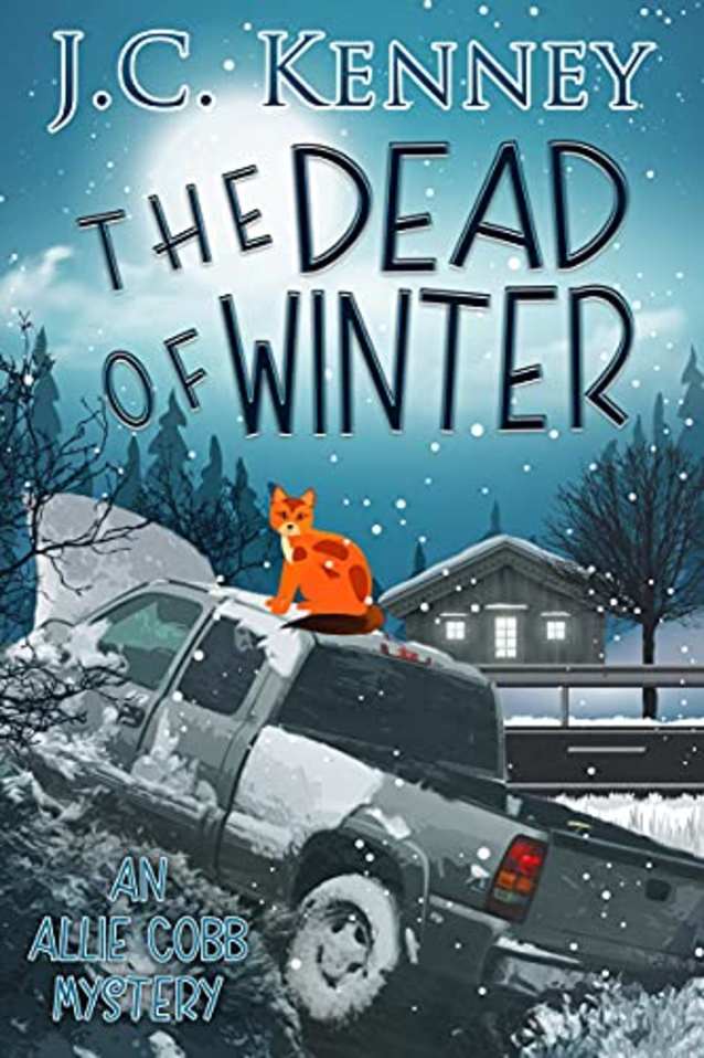 The Dead of Winter (An Allie Cobb Mystery Book 5)