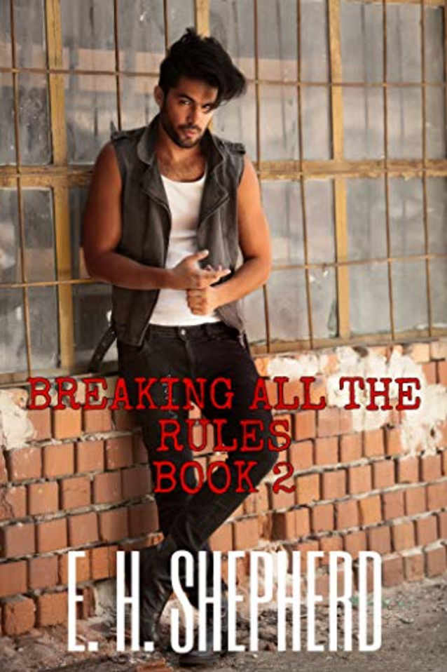 BREAKING ALL THE RULES: BOOK 2