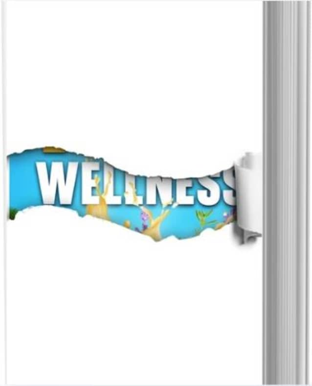 A Holistic Quest to True Wellness