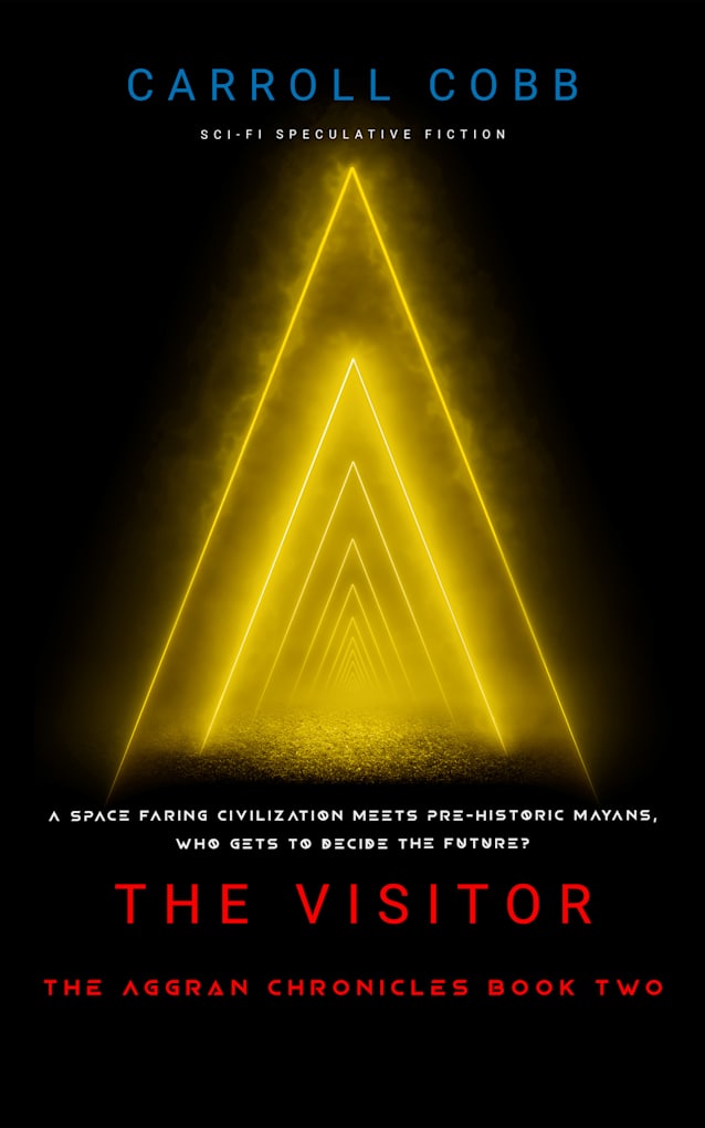 The Visitor