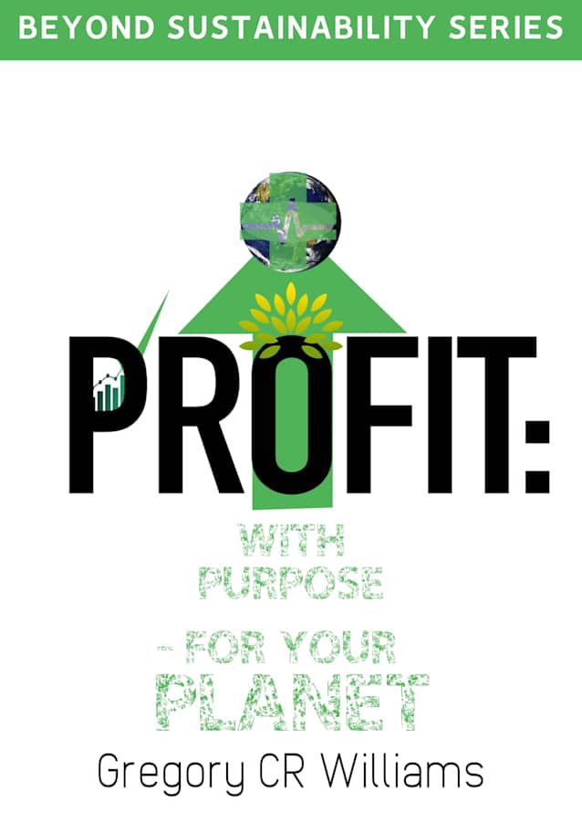 Profit: With Purpose: Beyond Sustainability (Beyond Sustainability Series)