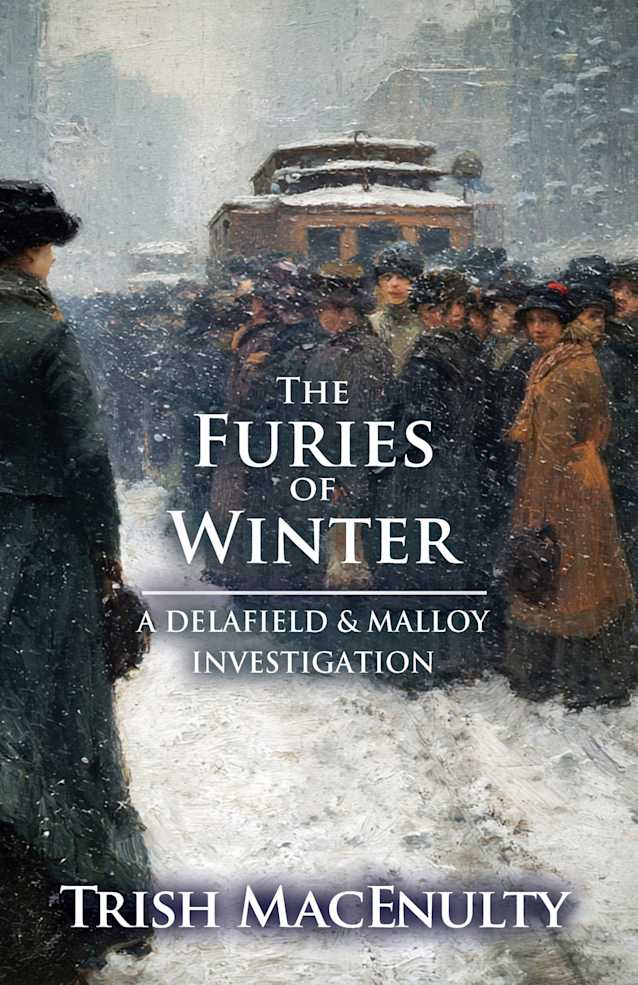 The Furies of Winter: A gripping women’s historical mystery (A Delafield & Malloy Investigation Book 6)