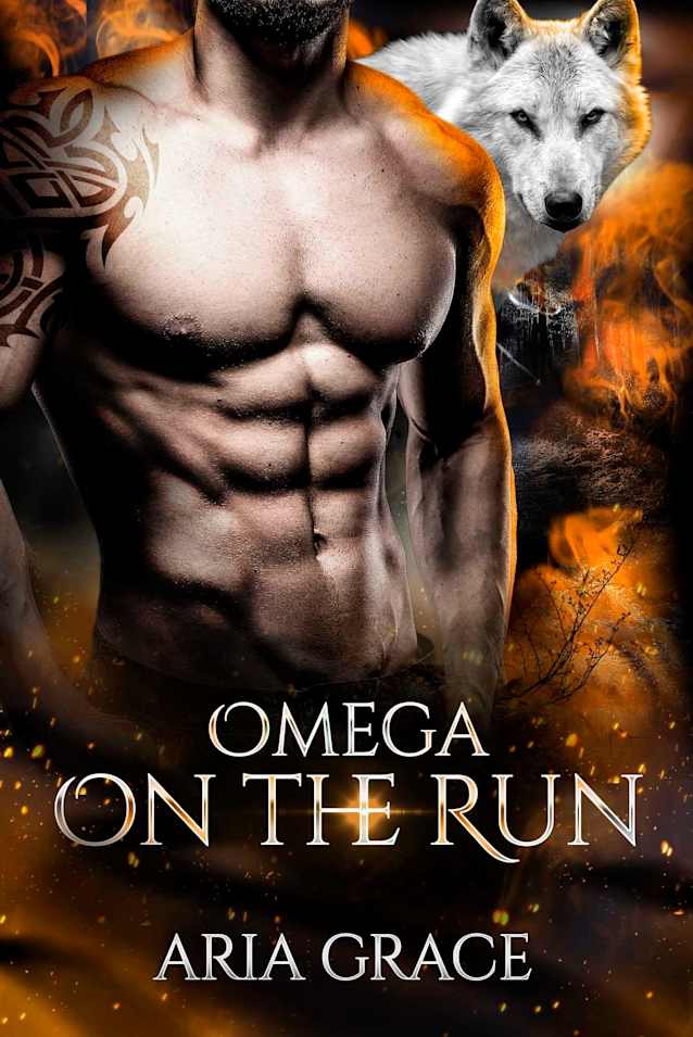 Omega On The Run: An Mpreg Shifter MM Romance