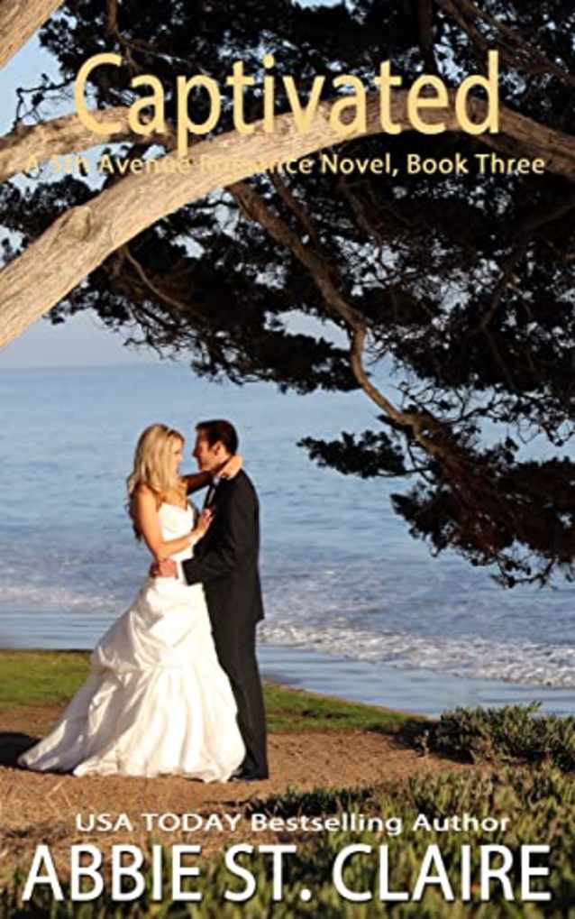 Captivated On 5th Avenue: Book 3