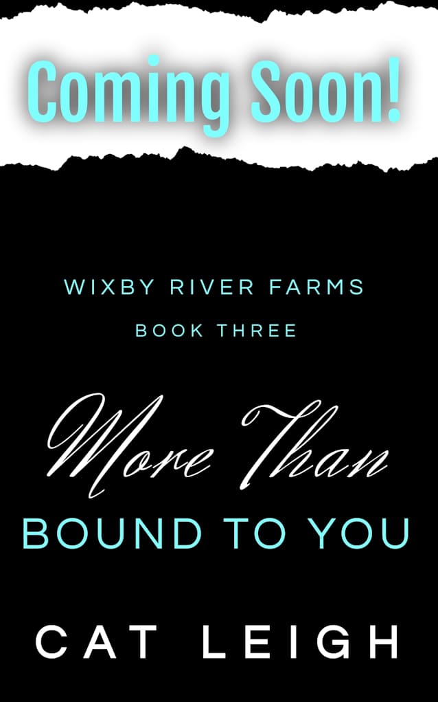 More than Bound to You: Wixby River Farms Book Three