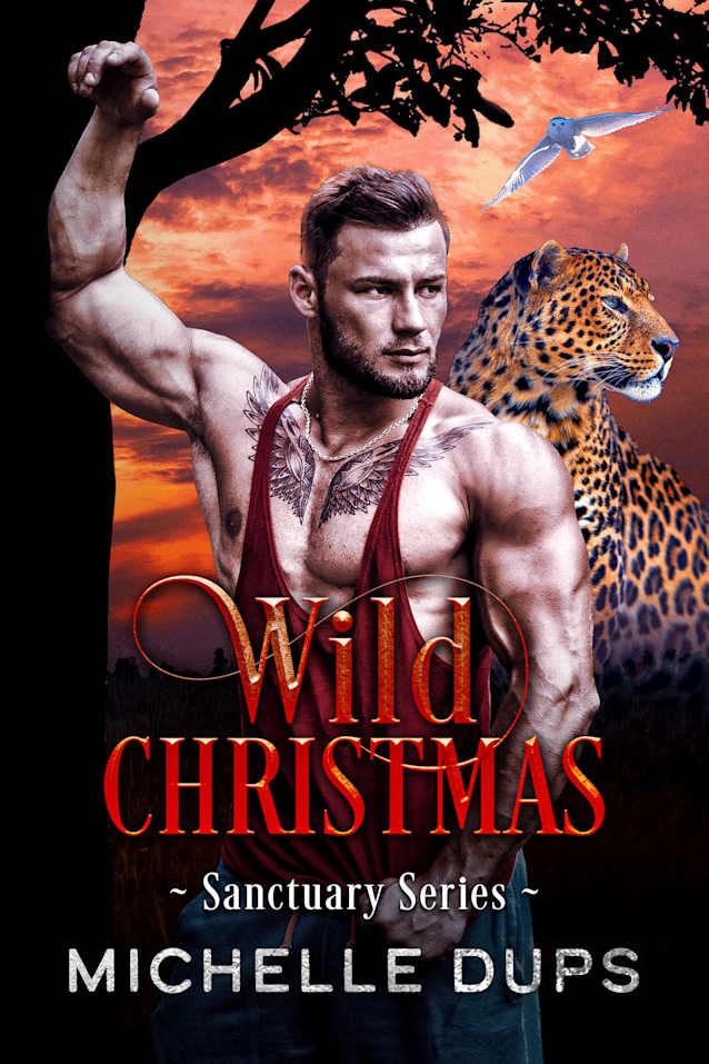 WILD CHRISTMAS (SANCTUARY Book 7)