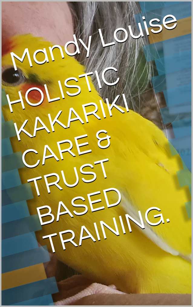 HOLISTIC KAKARIKI CARE & TRUST BASED TRAINING. (Companion birds.)