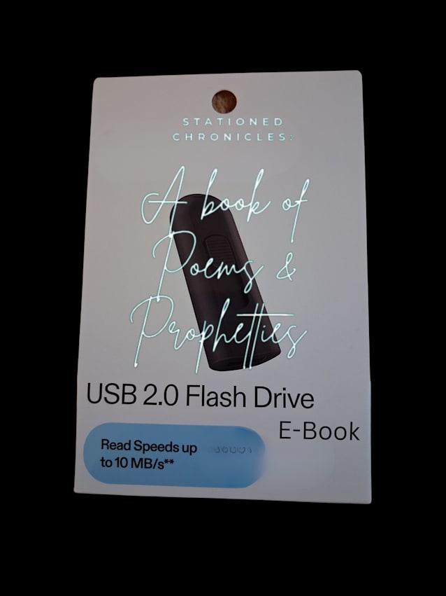 Digital flash drive E-Books and Audiobooks from RobSway Publishing 