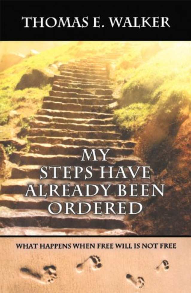 My Steps Have Already Been Ordered - What happens when free will is not free.