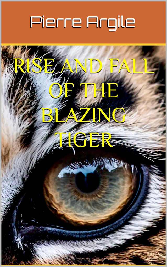 Rise and Fall of the Blazing Tiger