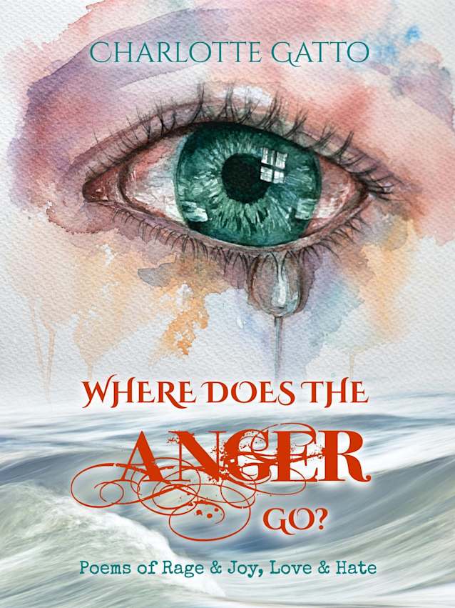 Where Does the Anger Go?: Poems of Rage & Joy, Love & Hate