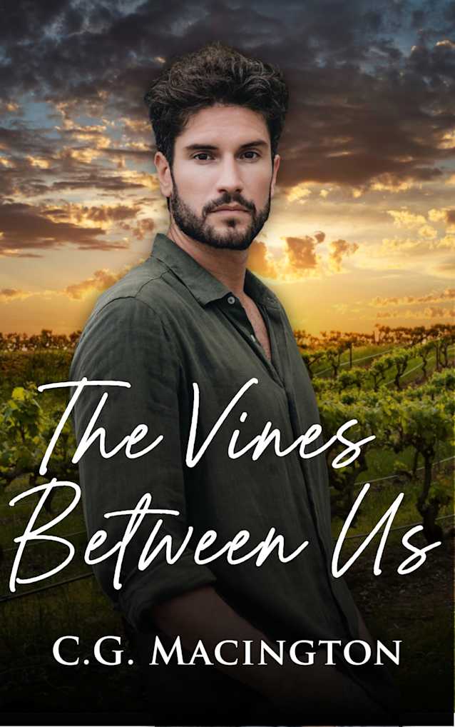 The Vines Between Us: A MM Second Chance Romance in the French Vineyards