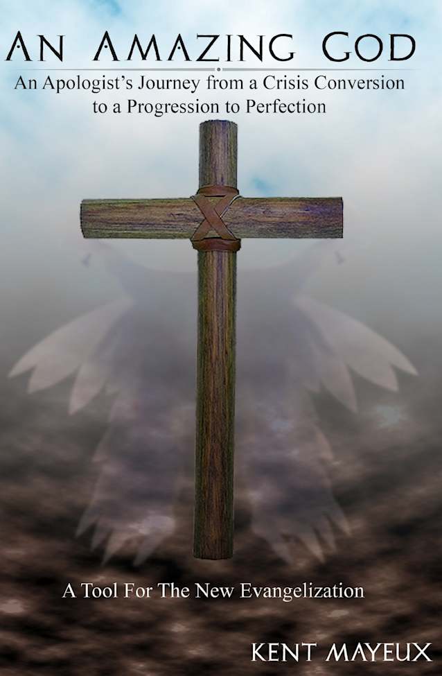An Amazing God (An Apologist’s Journey from a Crisis Conversion to a Progression to Perfection Book 1)