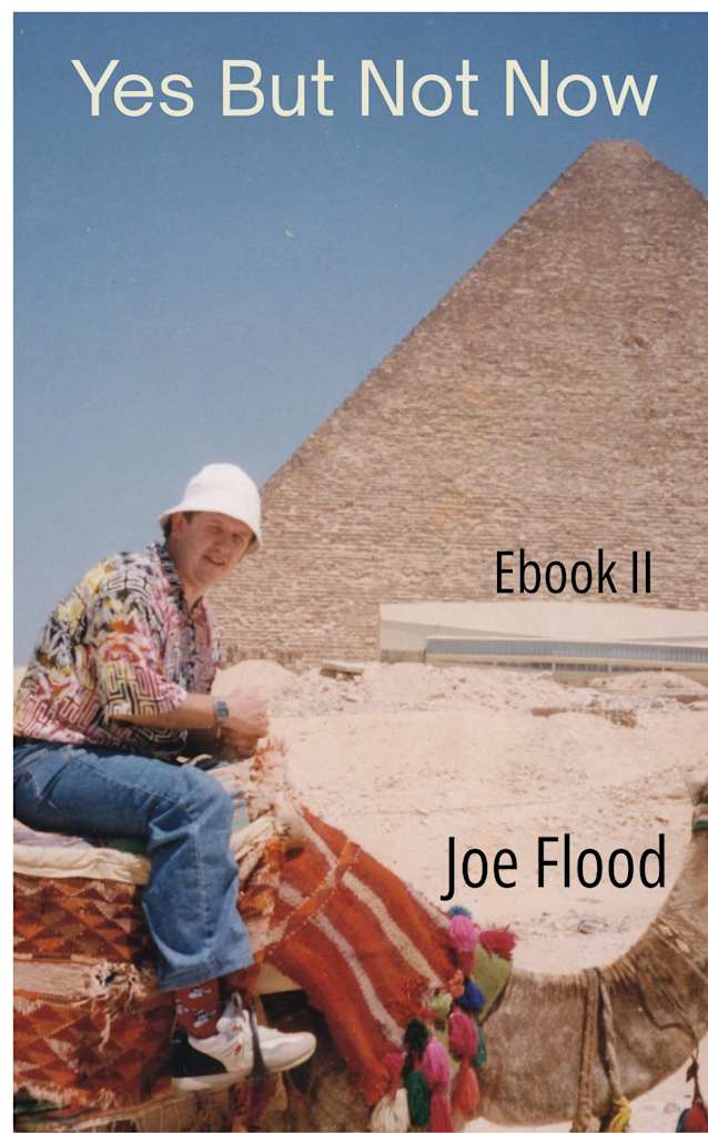 Yes But Not Now: Ebook II 