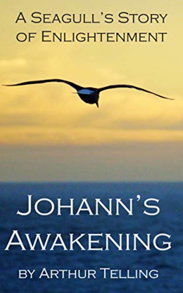 Johann’s Awakening: A Seagull’s Story of Enlightenment