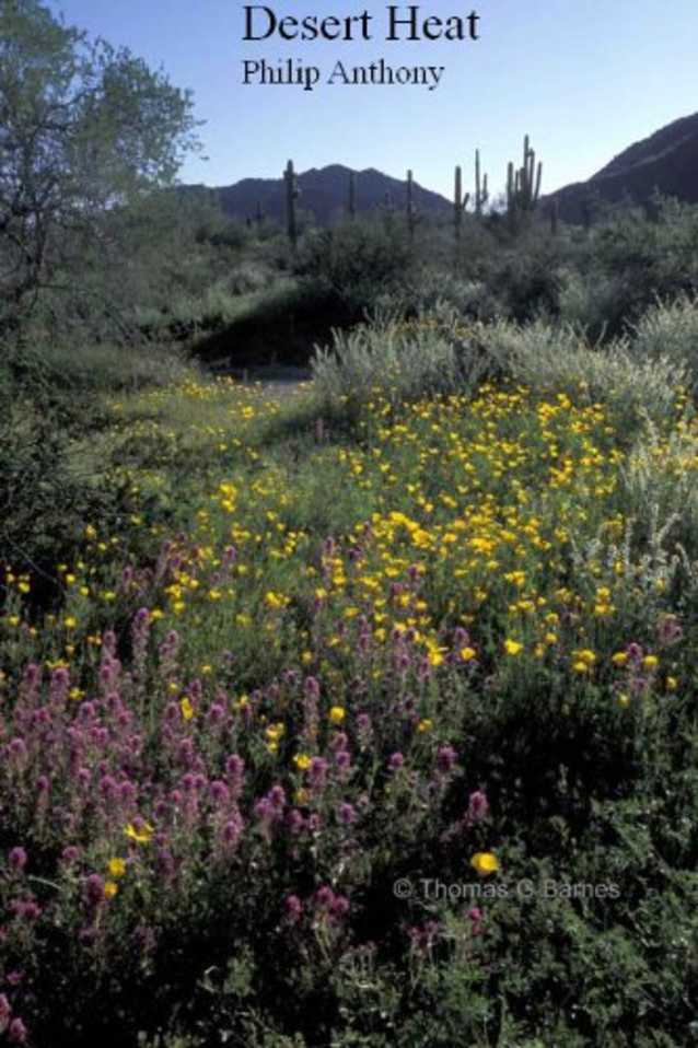 Desert Heat
