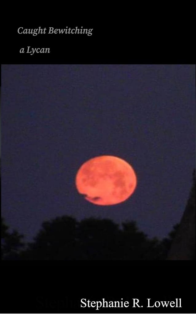 Caught Bewitching a Lycan (Caught with a Lycan, #4)