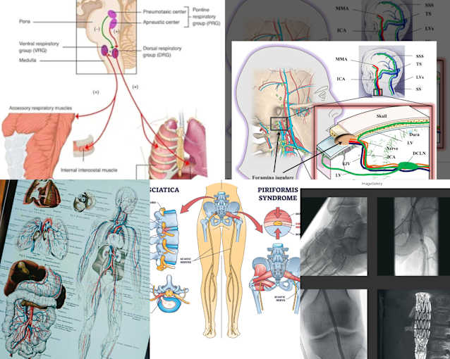 MED CRIME Activity by GLENEAGLES IHH with SURGERY PATIENT: MED CRIME Activity by GLENEAGLES IHH with SURGERY PATIENT