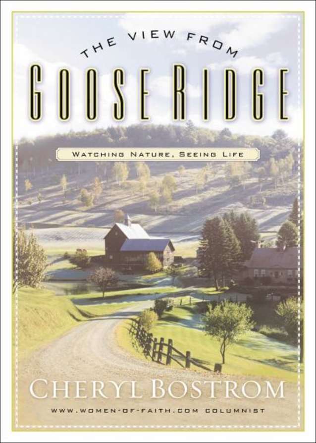 The View from Goose Ridge