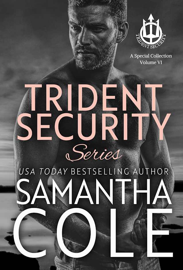 Trident Security Series: Volume VI