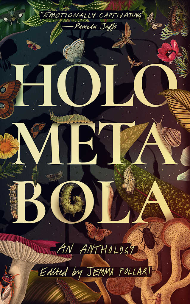 Holometabola