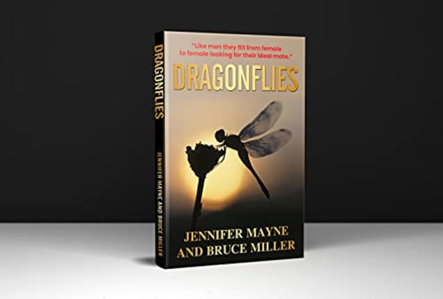Dragonflies: A Novel Based on What Men Think of Women