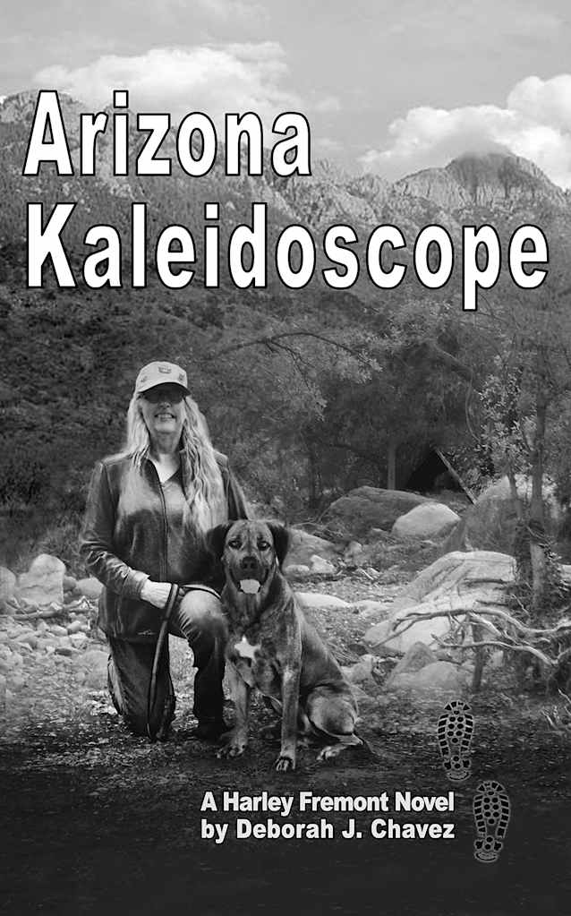 Arizona Kaleidoscope: A Harley Fremont Novel