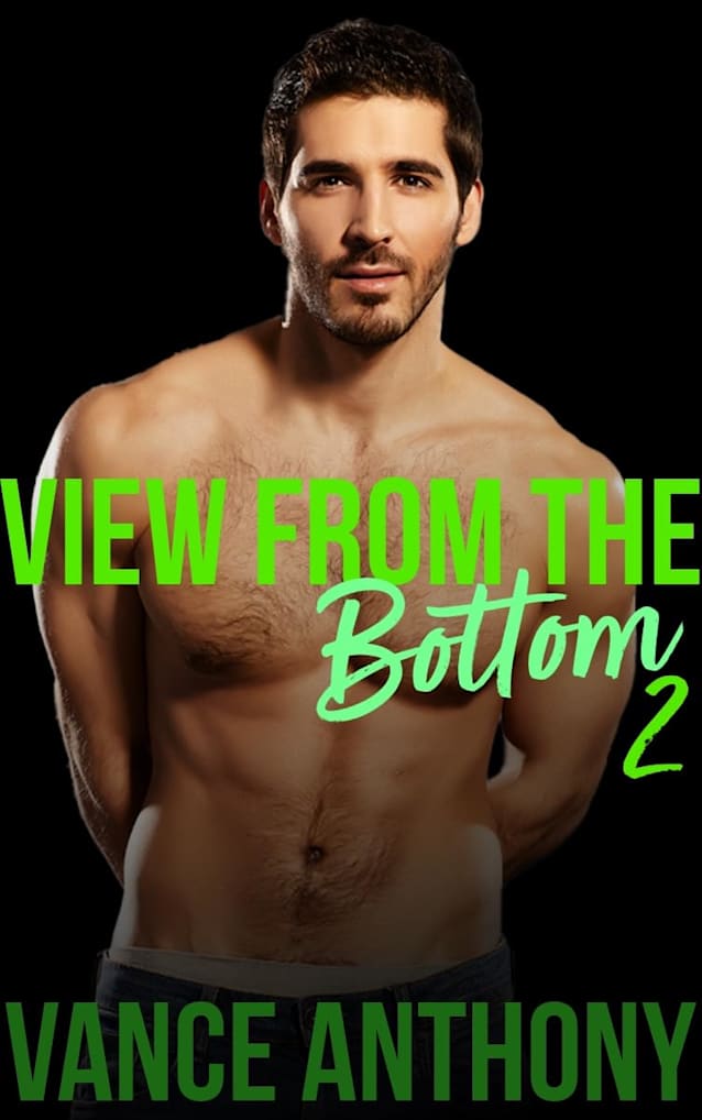 View From the Bottom 2: A Bundle of Gay Erotic Shorts