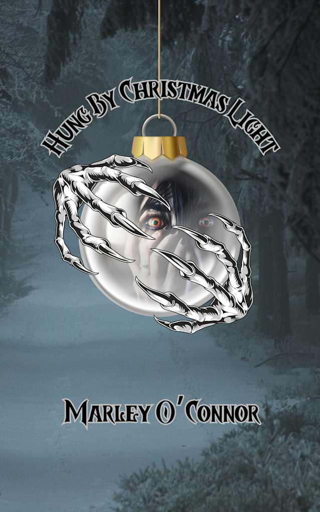 Hung By Christmas Light