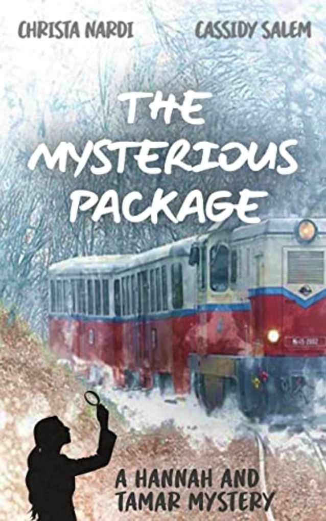 The Mysterious Package (A Hannah and Tamar Mystery Book 1)