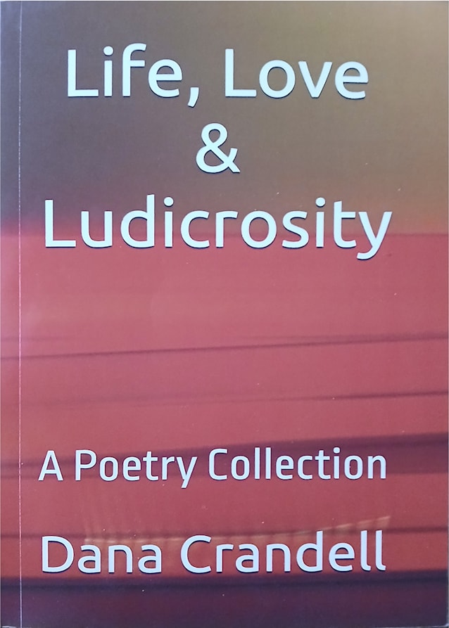Life, Love & Ludicrosity