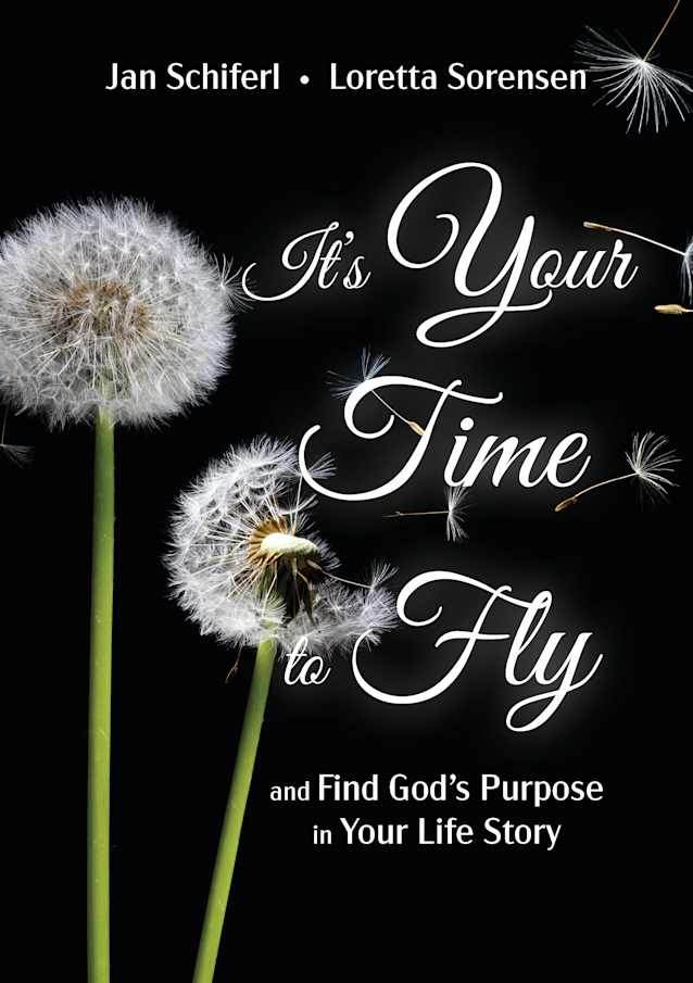 It's Your Time to Fly and Find God’s Purpose in Your Life Story