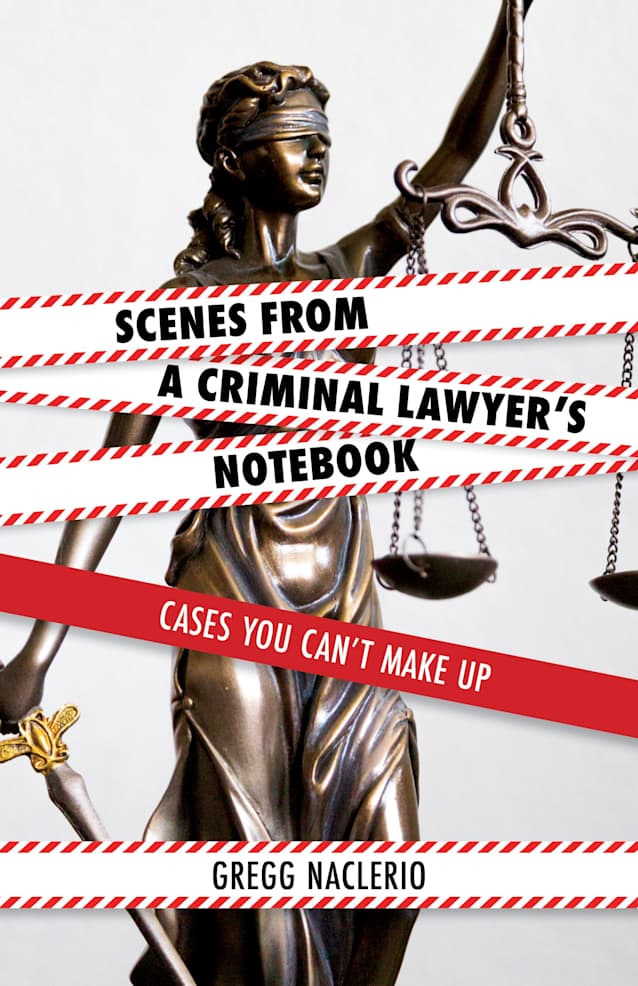 Scenes from a Criminal Lawyer’s Notebook: Cases You Can’t Make Up