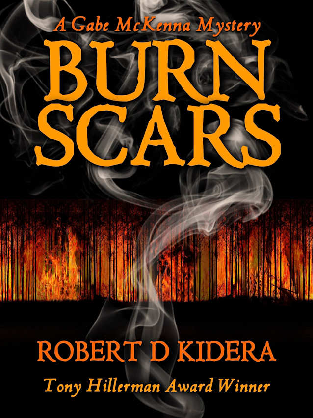 Burn Scars (Gabe McKenna Mystery Series Book 6)