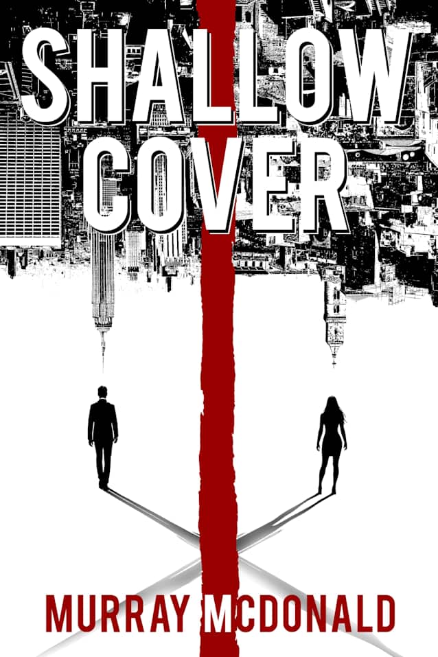 SHALLOW COVER: A twist so satisfying, you’ll wish you had seen it coming...