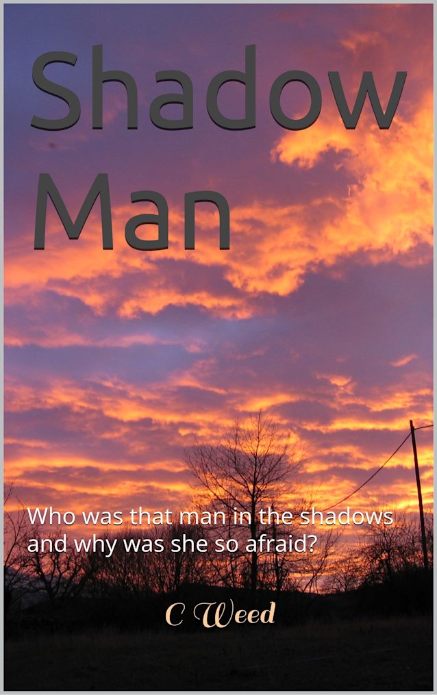 Shadow Man: Who was that man in the shadows and why was she so afraid?