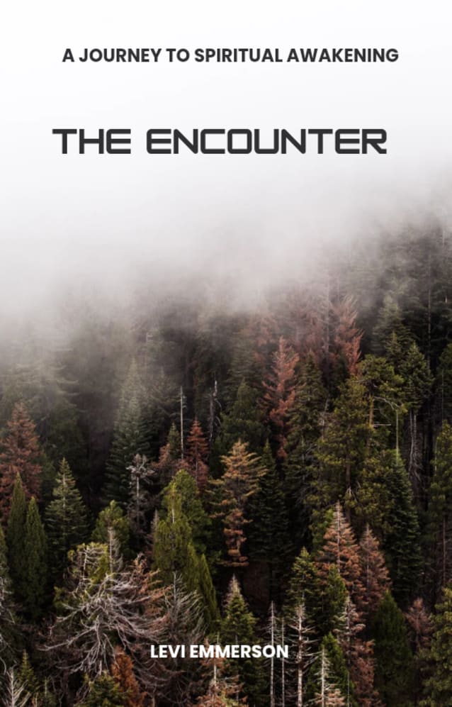 THE ENCOUNTER