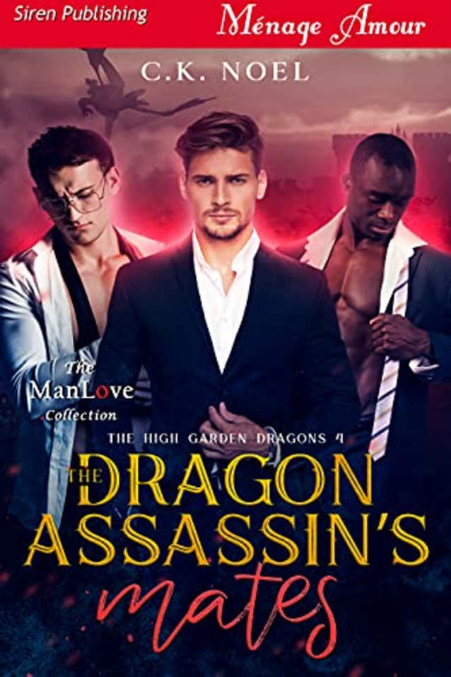The Dragon Assassin’s Mates