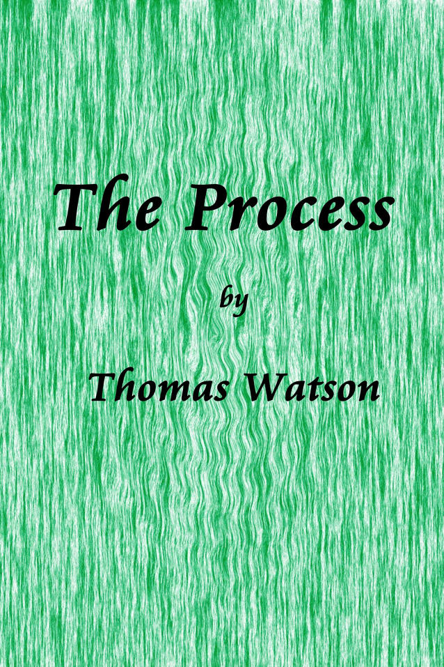The Process: Nine Essays on the Experience of Writing Fiction & “Muse” A Short Story