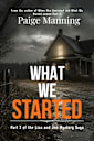 What We Started (The Lisa and Joe Mystery Saga Book 3)