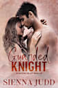 Guarded Knight: A Brothers Best Friend, Small Town Romantic Suspense (Echo Valley Book 3)