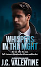 Whispers in the Night (Blackridge Detectives Book 2)