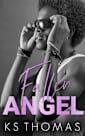 Fallen Angel (A Finding Nolan Novel, #3)