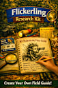  Flickerling Research Kit & Field Guide