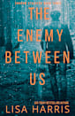 The Enemy Between Us: Shadow Stalkers Book 3