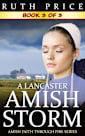 A Lancaster Amish Storm - Book 3 (A Lancaster Amish Storm (Amish Faith Through Fire), #3)