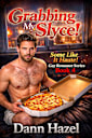 Grabbing My Slyce! (SOME LIKE IT HAUTE GAY ROMANCE SERIES Book 4)