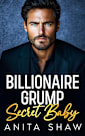 Billionaire Grump Secret Baby